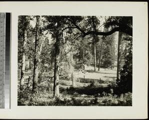 Go to image 6.