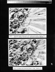 Go to image 64.