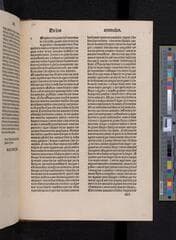 Go to image 519.