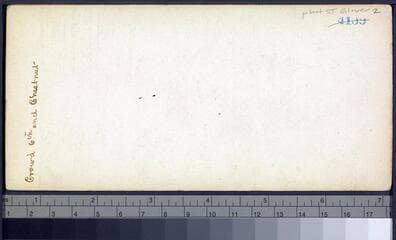 Go to image 2.