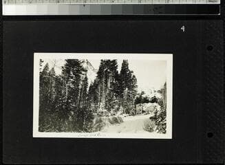 Go to image 6.