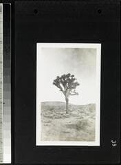 Go to image 35.