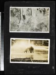 Go to image 33.