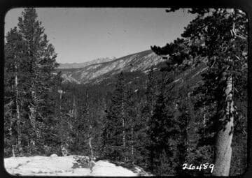 Big Creek general