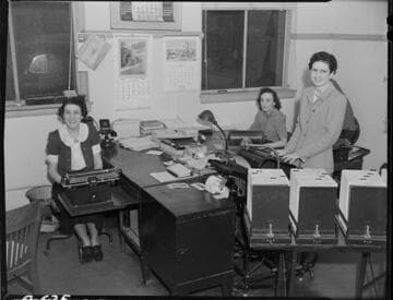 Office Staff