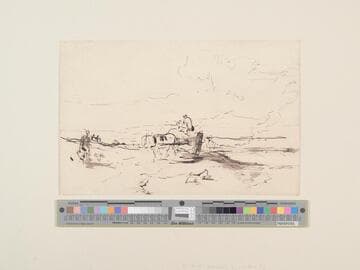 Cart on a Beach