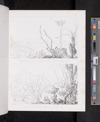 Go to image 240.
