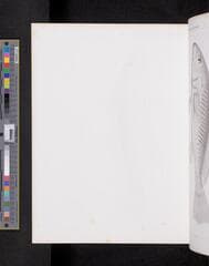 Go to image 1067.
