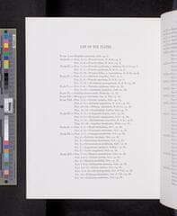 Go to image 1043.