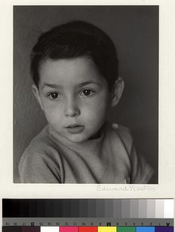 David Zeitlin
