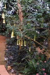 Go to image 6.