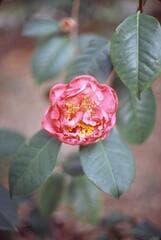 Go to image 1.