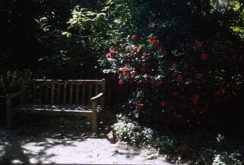 Go to image 6.