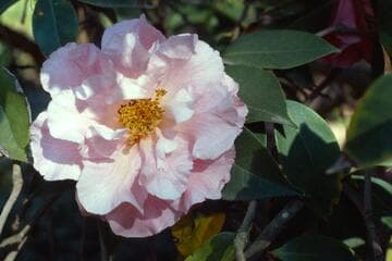 Go to image 4.