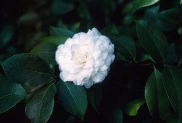 Go to image 4.