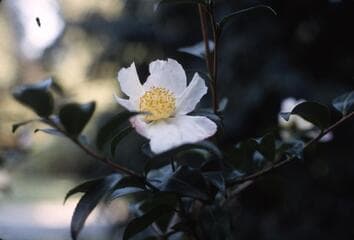 Go to image 2.