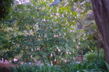 Go to image 11.