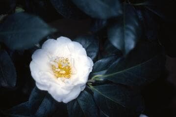 Go to image 1.