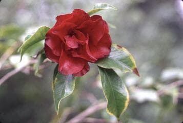Go to image 3.
