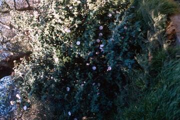 Go to image 6.