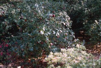 Go to image 4.