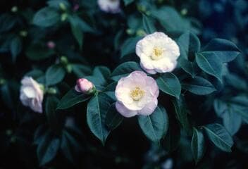 Go to image 8.