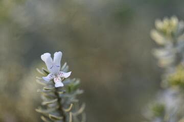 Go to image 3.