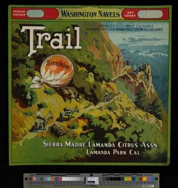Trail