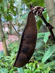 Go to image 11.