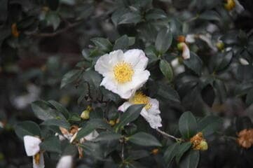 Go to image 3.