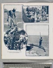 Go to image 7.