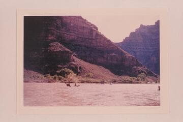 Mile 60 in Desolation Canyon. The snag was torn loose from the shore when Al Morton's boat fouled it and turned over. The capsized boat is floating downriver in the distance