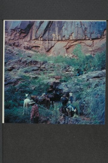 Removing saddles at Melody or Melodic Spring. Mile 1, left bank, San Juan River