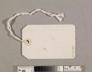 Go to image 2.