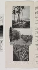 Go to image 13.