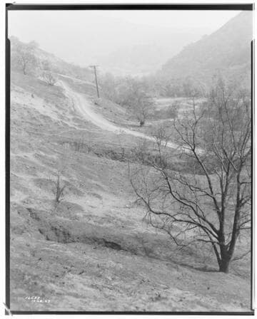 Distribution Lines