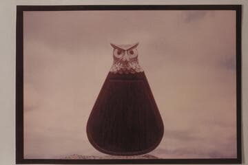 A Floating Owl. Photo Masterpiece by Harry Aleson
