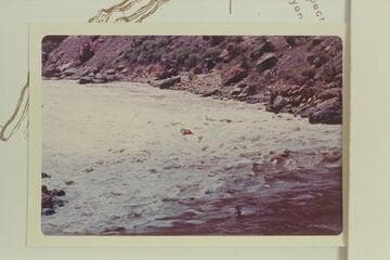 Jim Jordan swings the "Circle" to the right to stay next to the tail waves of Vulcan Rapid. Approximate gauge: 45,000 cfs