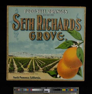 Seth Richards Grove