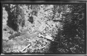Stream in a forest