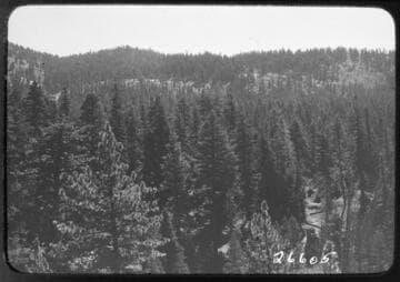 Fish Valley
