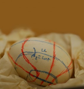 Volterra_Egg Volterra egg